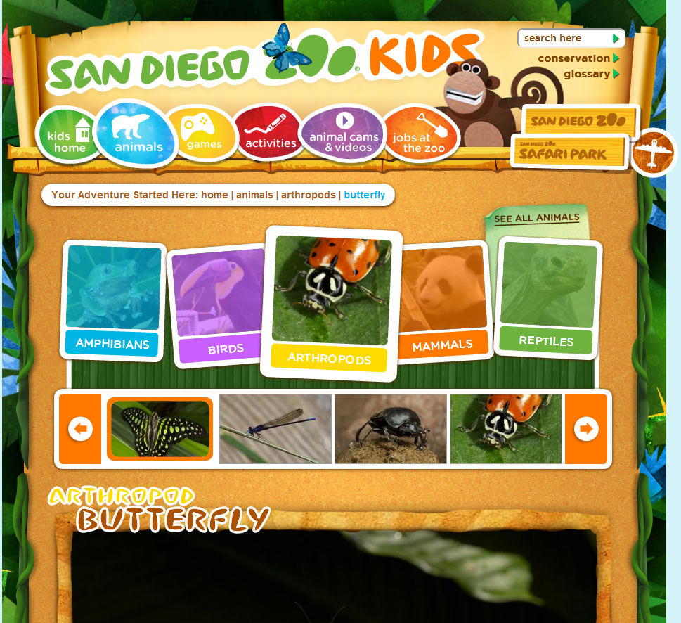 San Diego Zoo KIDS logo